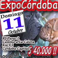 EXPO CORDOBA