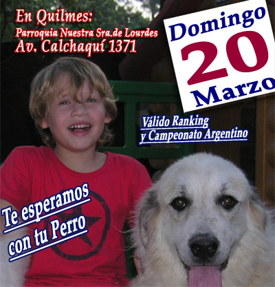 ACADOGSHOW 21