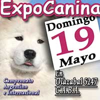 ACADOGSHOW34